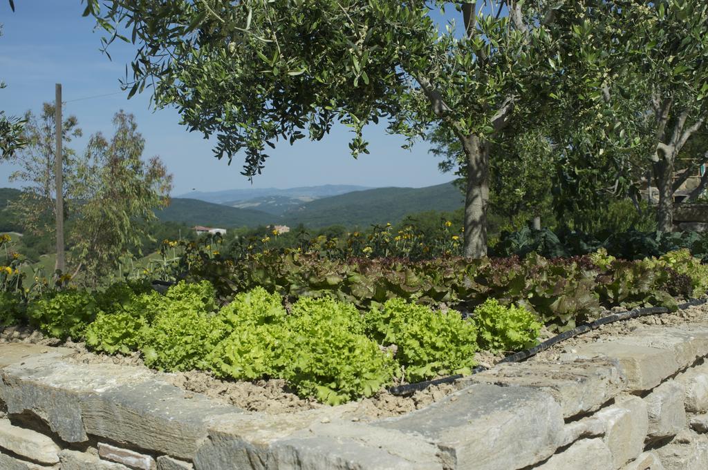 Agriturismo Erta Villa Casole dʼElsa Kültér fotó