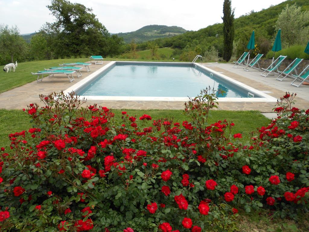 Agriturismo Erta Villa Casole dʼElsa Kültér fotó