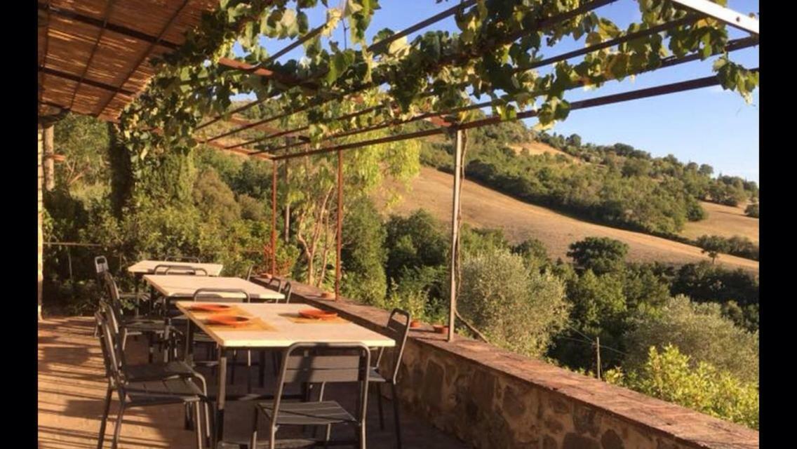 Agriturismo Erta Villa Casole dʼElsa Kültér fotó