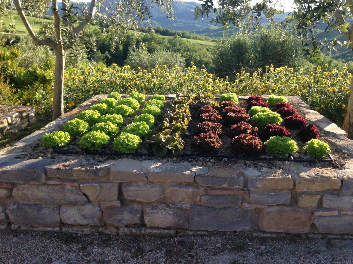 Agriturismo Erta Villa Casole dʼElsa Kültér fotó