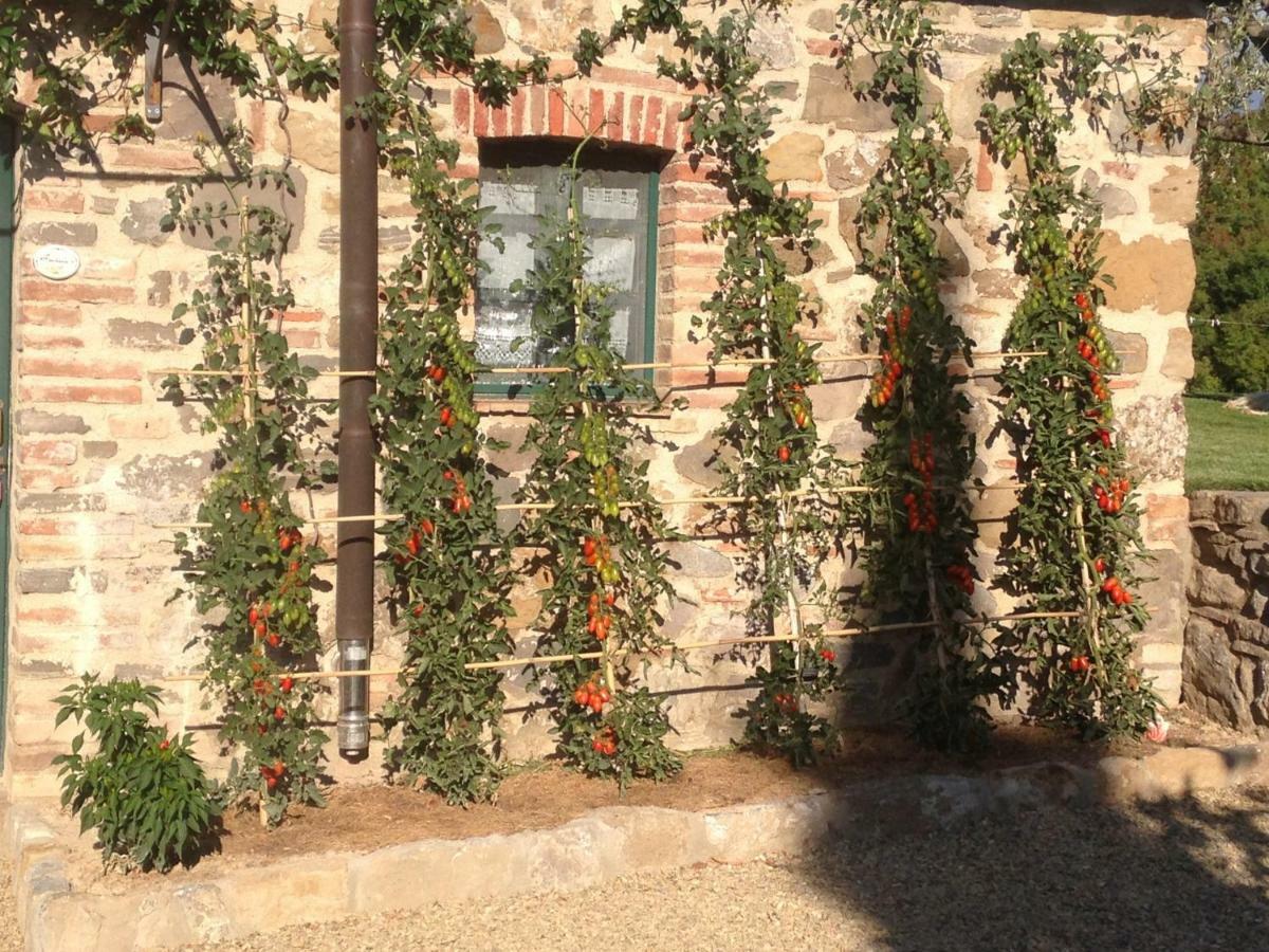 Agriturismo Erta Villa Casole dʼElsa Kültér fotó