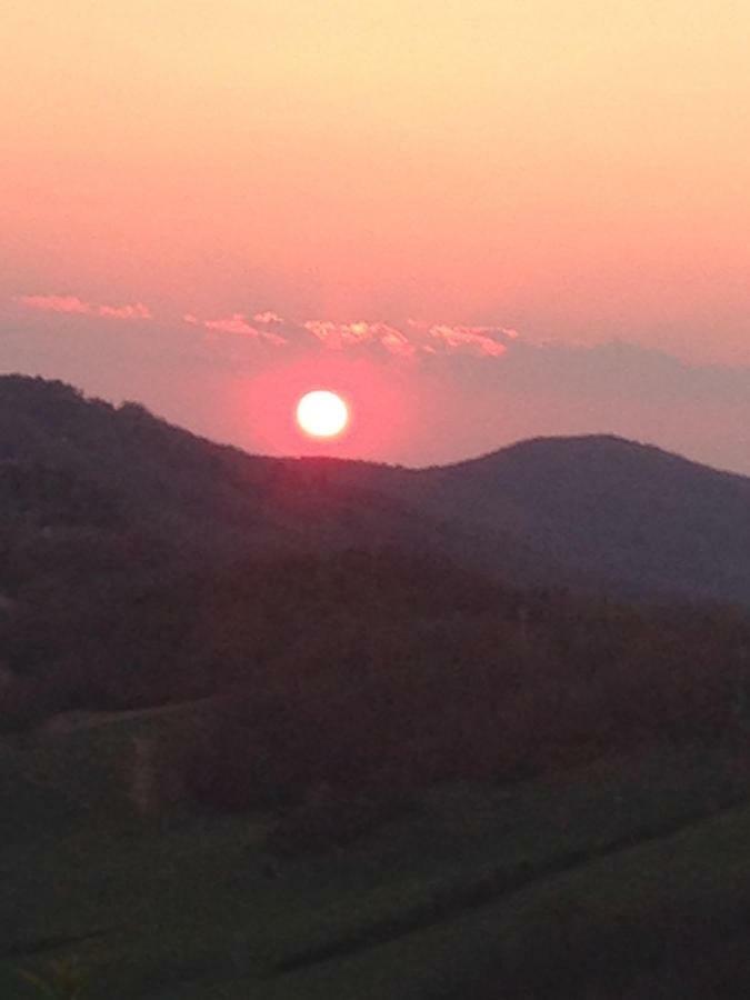 Agriturismo Erta Villa Casole dʼElsa Kültér fotó