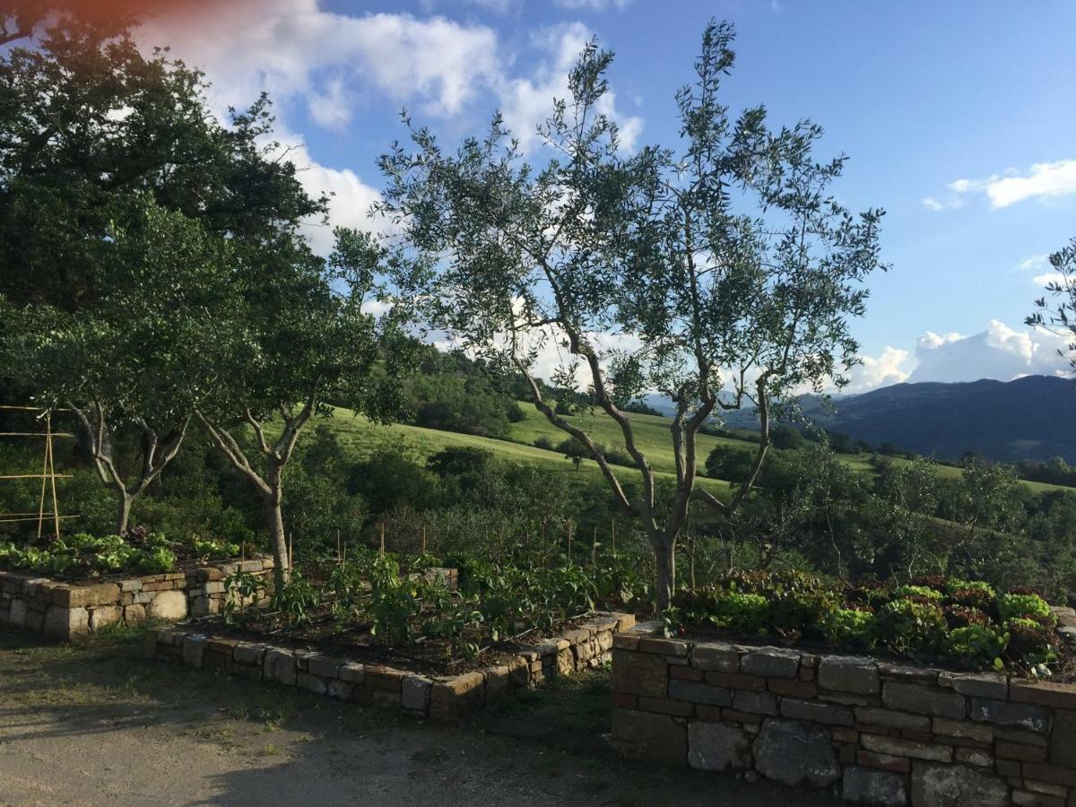 Agriturismo Erta Villa Casole dʼElsa Kültér fotó
